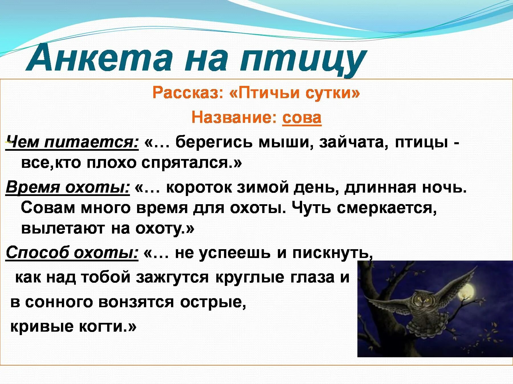 Птица история. Анкетирование птицы. Анкета про птиц. Научные рассказы про птичек. Кайсы птица рассказ.