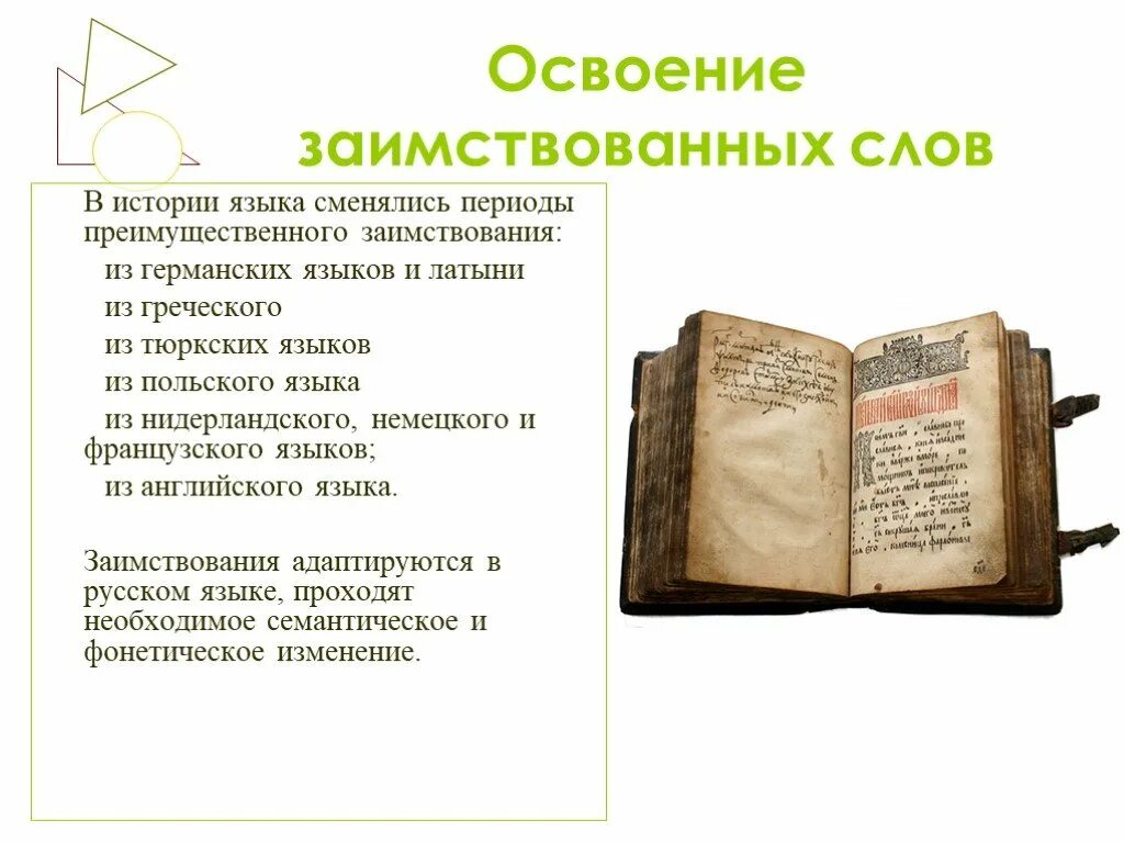 Заимствованные слова в русском. Заимствованные слова из славянских языков. Заимствование слов в русском языке. История заимствования слов в русском языке. История заимствования слов в русском языке.