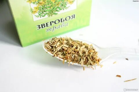Зверобой противопоказания для женщин