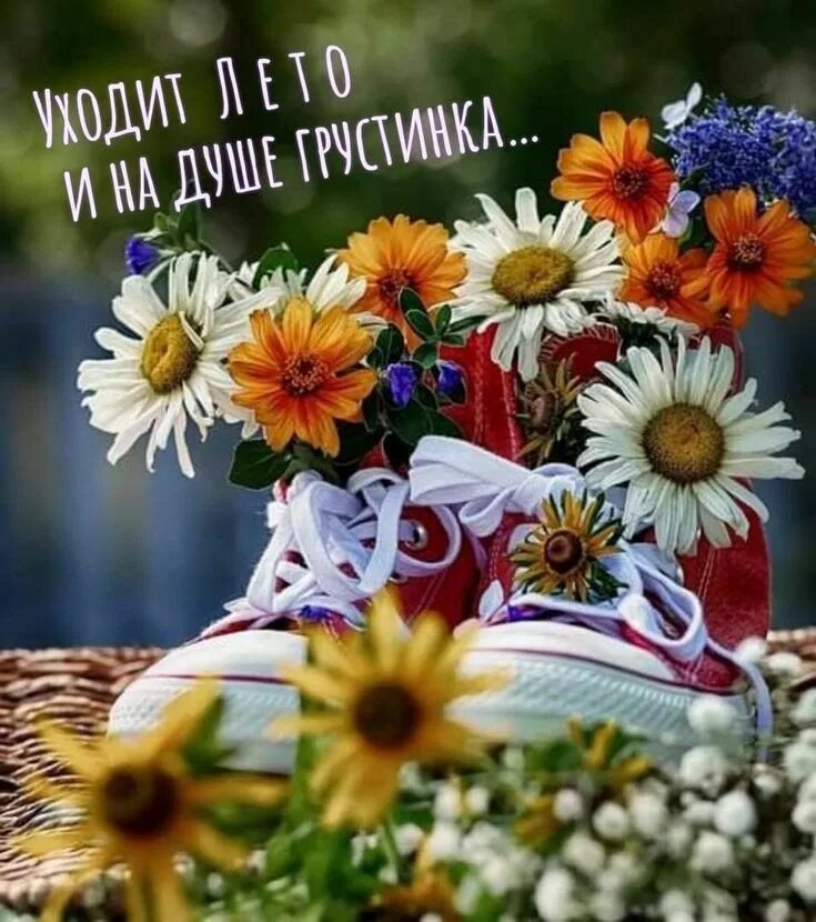 Доброе утро последние деньки года