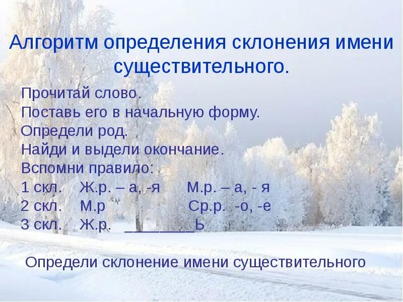 Алгоритм склонения имен существительных. Алгоритм определения склонения имени существительного. Алгоритм определения склонения. Алгоритм определения склонения существительных.