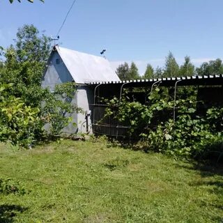 Улица дачная 10