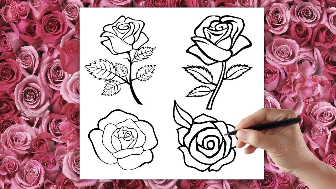 Розы джипег. Включи видео как нарисовать розочку по китайски. Красные розы. Включить розу 2. Две розы.