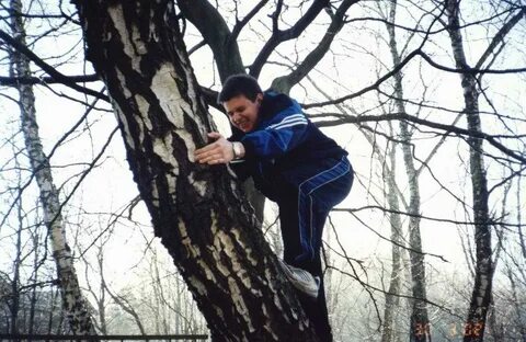 Ребята по дереву