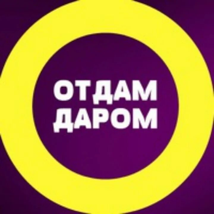 Отдам даром. Отдам даром обложка. Отдам даром надпись. От од. Отдам даром надпись.