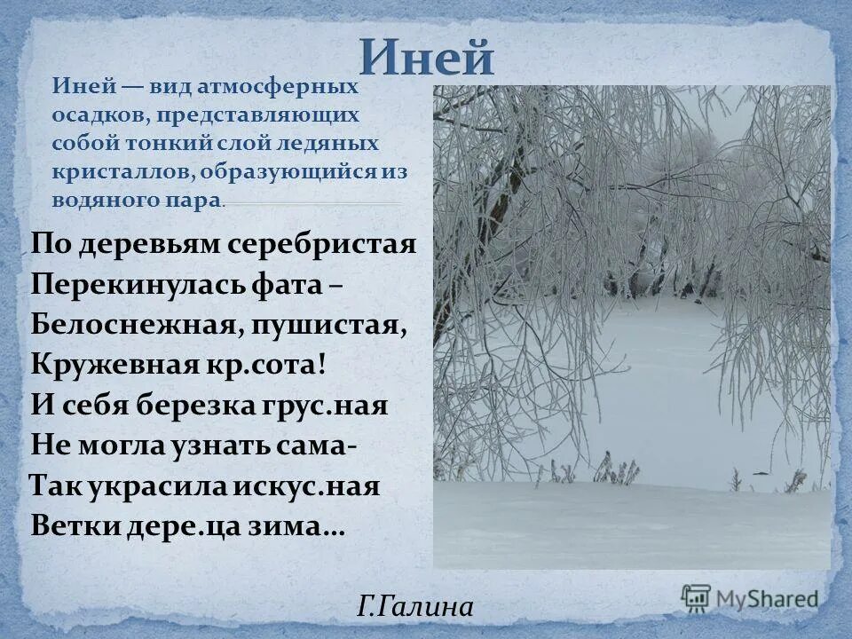 Метель за окном девушка. Вьюга посеребрила пышную прическу стройных сосен. Вьюга посеребрила пышную прическу стройных сосен впр ответы. Вьюга посеребрила пышную прическу стройных. Вьюга посеребрила пышную прическу стройных.