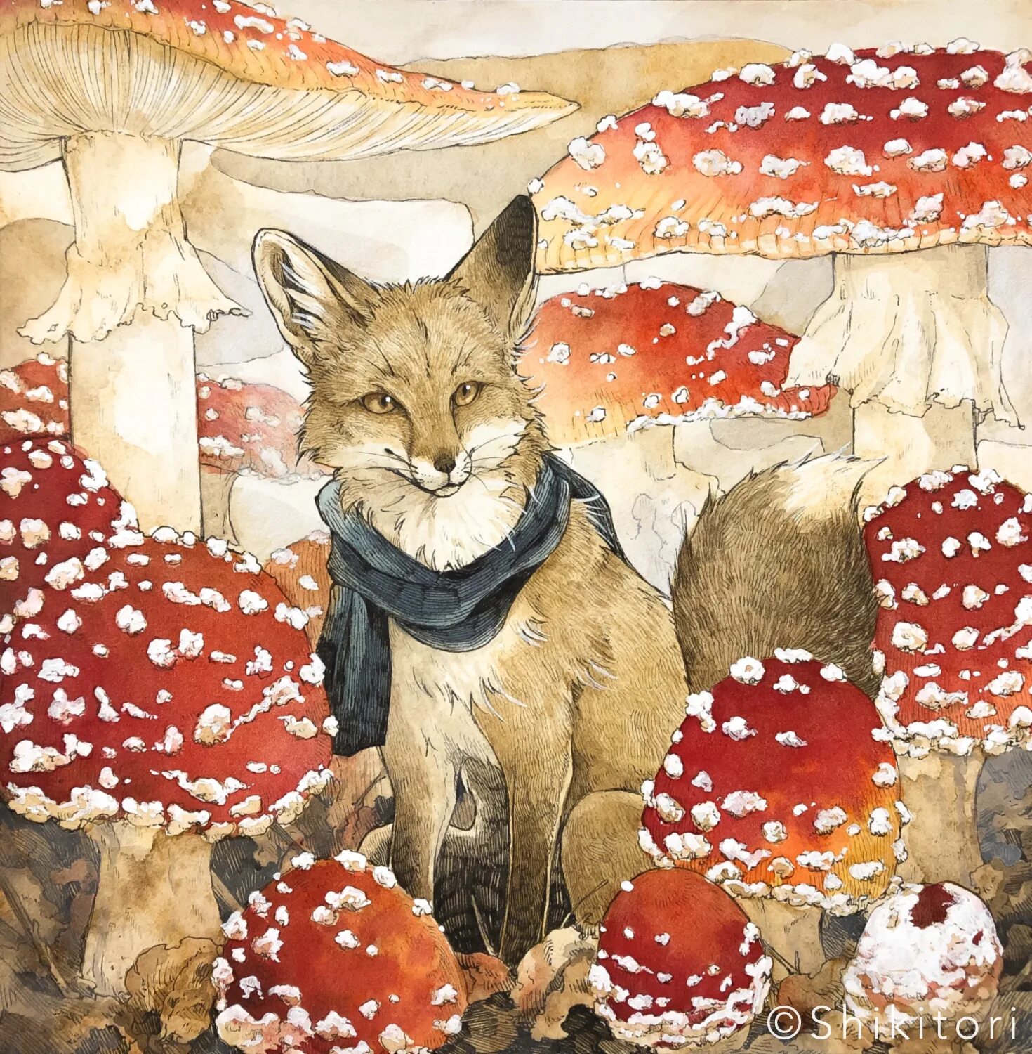 Белочка с грибочком. Кот ест грибы. Кот и грибы. Кот мухомор. Кот грибник.