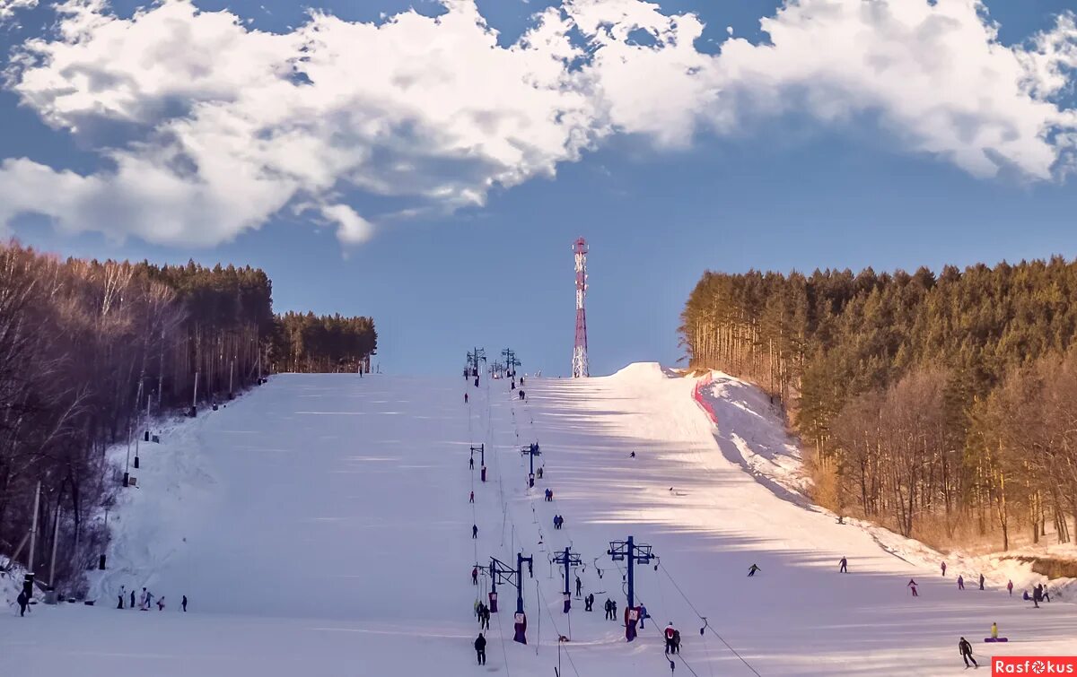 сургут белокуриха