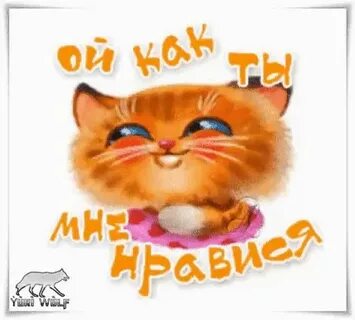 Да рад тебя видеть