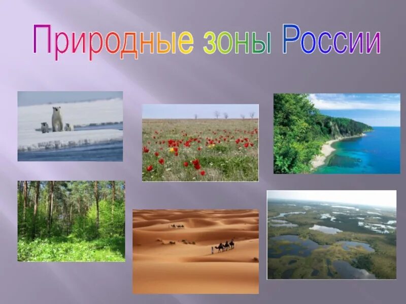 Природные зоны фото 4 класс. Природные зоны России. Природные зоны 4 класс. Природные зоны РФ проект. Продукт на тему прироодные зоны России.