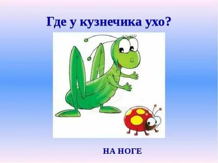 Алгоритм кузнечик