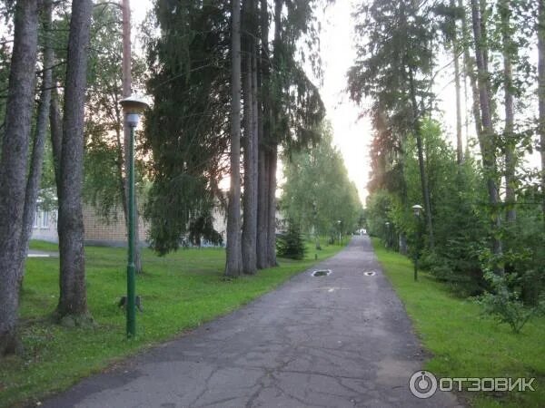 Звенигород стд. Санаторий союз театральных деятелей в звенигороде. пансионат звенигород стд рф. звенигород пансионат стд рф пансионат звенигород. пансионат вто звенигород.