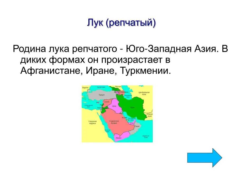 Самый большой полуостров на юго западе азии