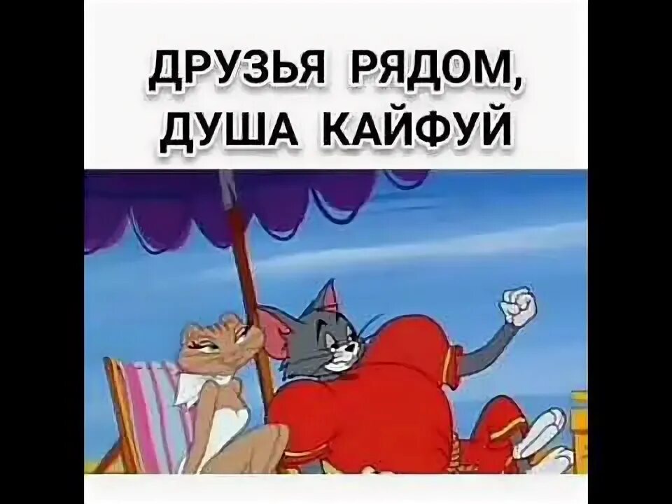 Друзья рядом. Друзья рядом друзья кайфуют. Друзья рядом душа кайфуй. Друзья рядом душа кайфует песня слушать. Друзья рядом душа кайфуй.