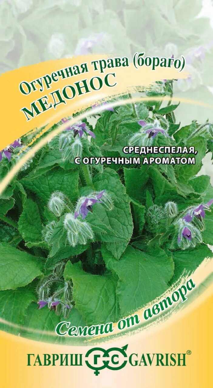 Огуречная трава семена. Бораго огуречная трава микрозелень. Бораго огуречная трава микрозелень. Бораго микрозелень. Огуречная трава семена.