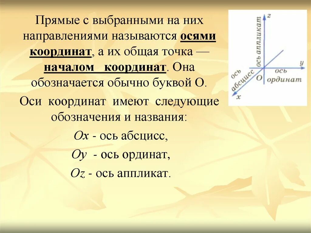 Прямые с выбранными на них направлениями называются. Ось координат. Назовите оси координат. Направление оси координат.