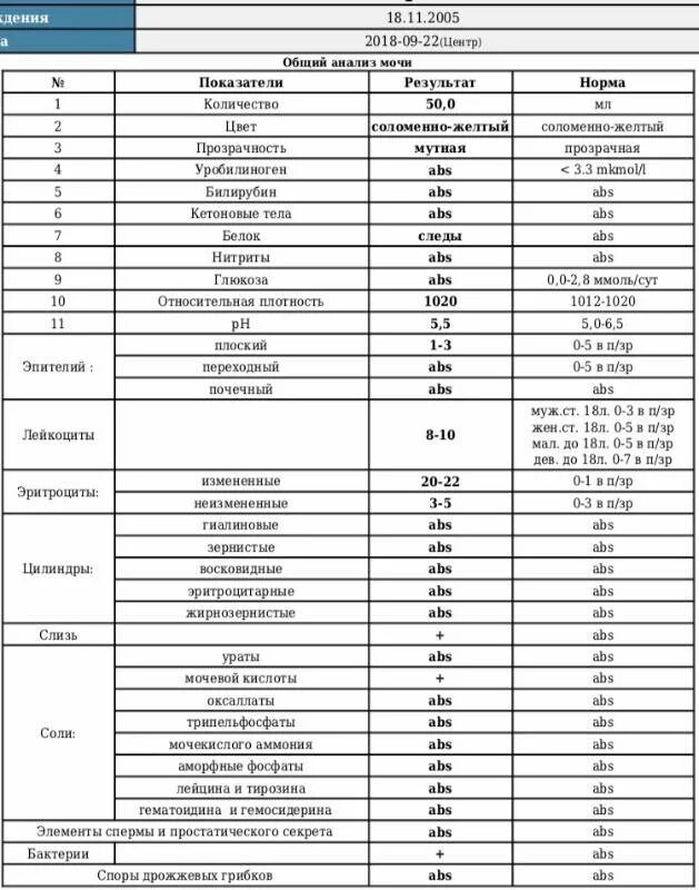 Слизь в анализе мочи у мужчин. Анализ мочи эпителий норма. Расшифровка анализа мочи эпителий плоский норма. Общий анализ мочи норма мочевой кислоты. Анализ мочи мочевая кислота норма.