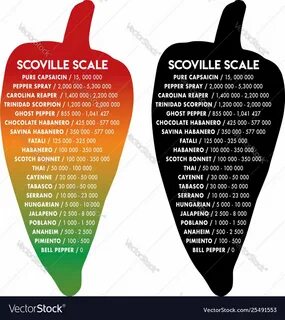 Text scale