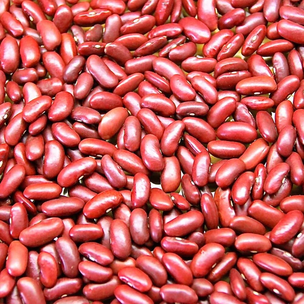 Beans build
