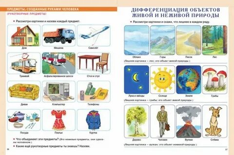 Вещи созданные природой