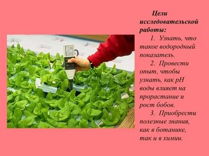 Исследовательский проект по химии