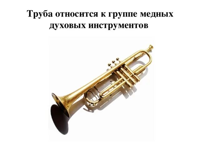 Трубы относятся к оборудованию. Трубы относятся к оборудованию