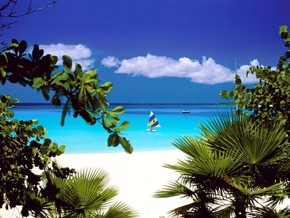 Caribbean сайт. Доминикана карибы. Карибы фото. Побережье. Британские виргинские острова.