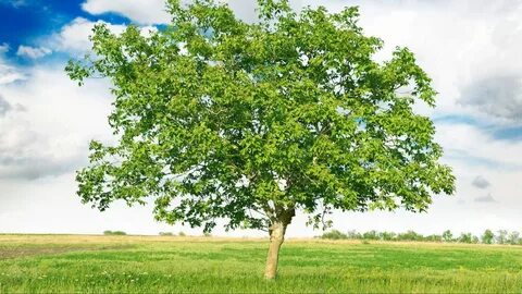 Қыз душта бөкселерін көрсетеді