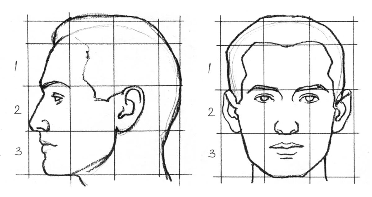 Пропорции лица человека сбоку. Пропорции портрета человека профиль. Схема пропорции головы человека в профиль. Портрет (конструкция головы человека. Анфас, профиль).