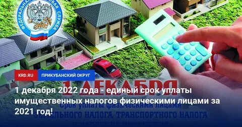 1 декабря имущественные налоги