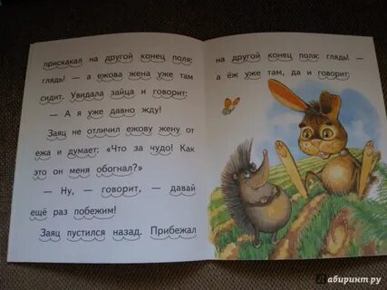 Л н толстой еж и заяц