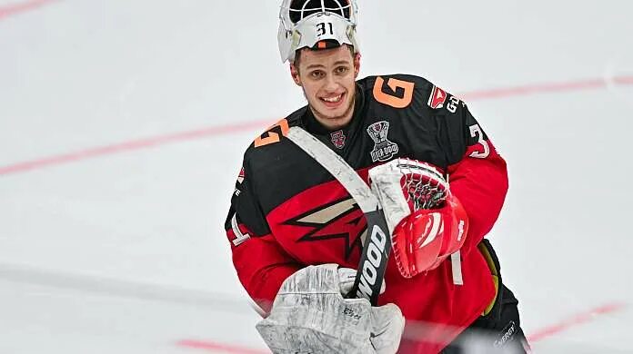 Мхл плеев