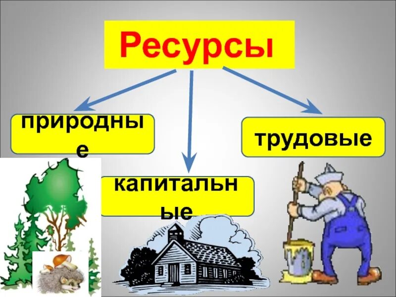 Ресурс рисунок. Природные и трудовые ресурсы. Материальные природные ресурсы. Природные экономические ресурсы. Природные ресурсы капитальные ресурсы трудовые ресурсы