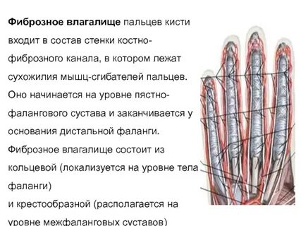 Канал пальцев