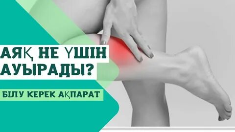 Үлкен есек фотосуреттері бар жетілген әйелдер