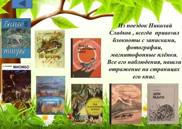 Сладков писатель натуралист. Книги Сладкова. Н Сладков биография. Сладков читать 2 класс