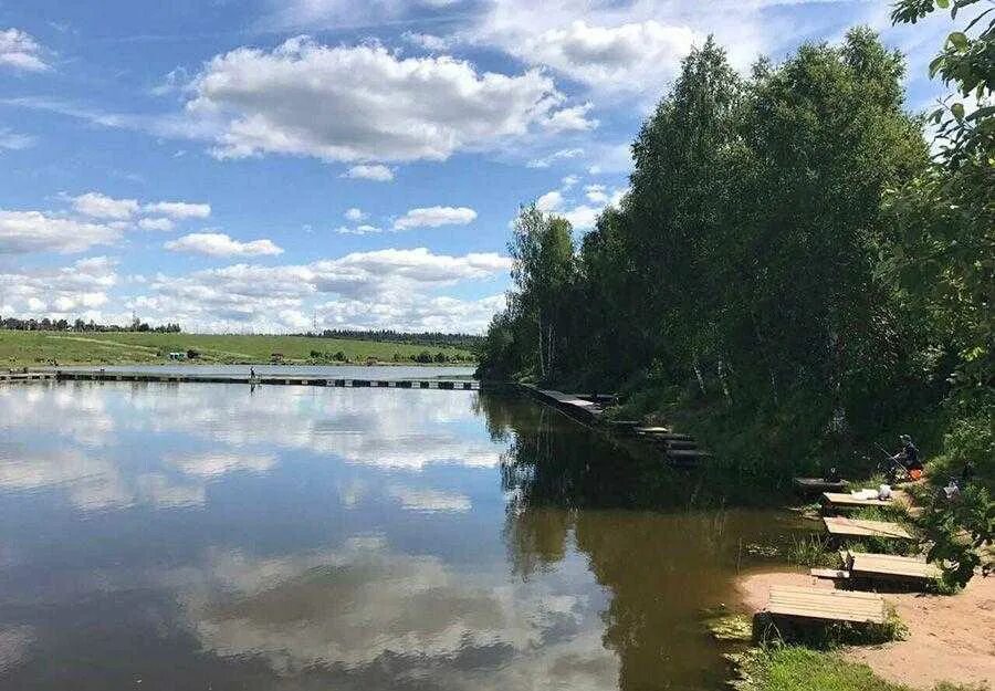 Озеро Савельево Солнечногорский район. Савельево пруд. Савельево 1 платная рыбалка. Платная рыбалка Лосиный остров.