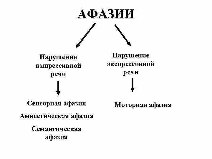 Обследование афазии. Нарушение импрессивной речи. нарушение импрессивной и экспрессивной речи. нарушение импрессивной речи при афазии. нарушение экспрессивной речи при афазии.