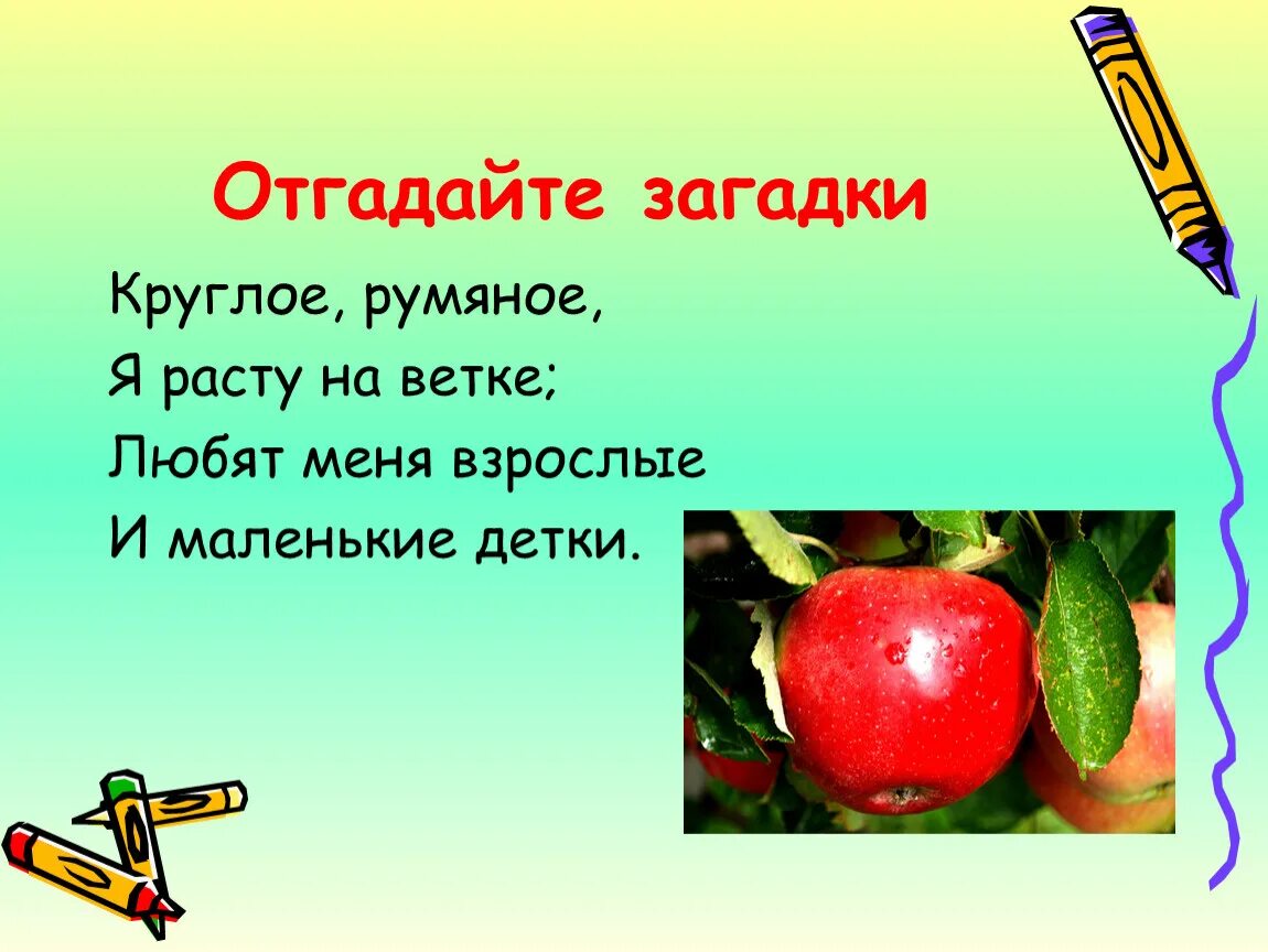 Отгадай загадку 1 класс. Круглое румяное я расту на ветке любят меня. Круглое румяное я расту на ветке любят ответ загадка. Ответ на загадку круглое румяное сладкое. Что отгадай загадку красный круглый кислый.