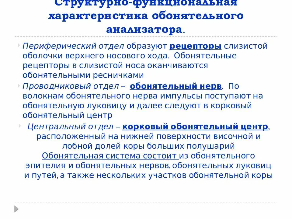 Обонятельный анализатор. Значение обонятельного анализатора. Обонятельный анализатор строение и функции. Обонятельный анализатор строение. Пороги восприятия обонятельного анализатора измеряются в.