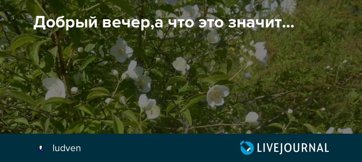 Песни добрый вечер эй полегче. Добрый вечер а что это значит. Добрый вечер а что это значит песня. Добрый вечер а что это значит мемы. Добрый вечер а что это значит песня слушать.