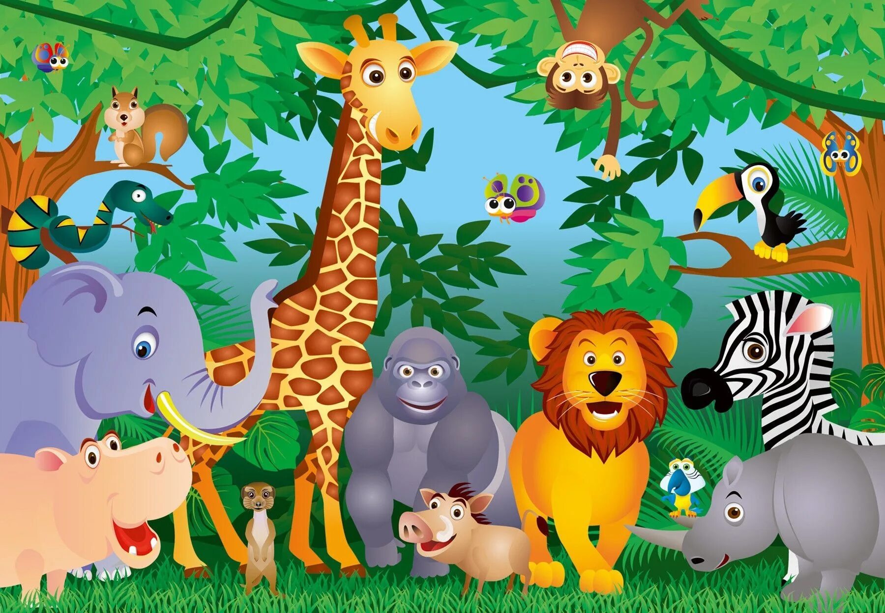 Zoo animals videos