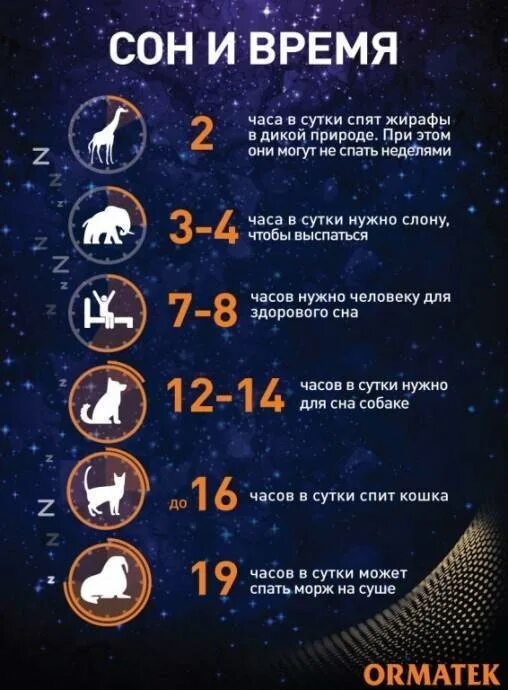 На 1 сутки после чего