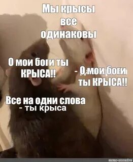 Да я крыса