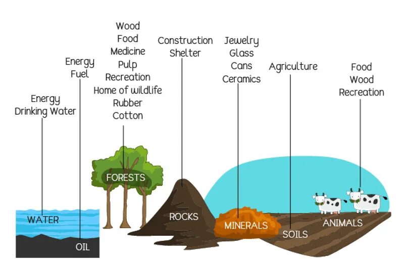 Types of natural resources. Natural resources are. Natural resources are renewable and. Depletion of natural resources. Save natural resources