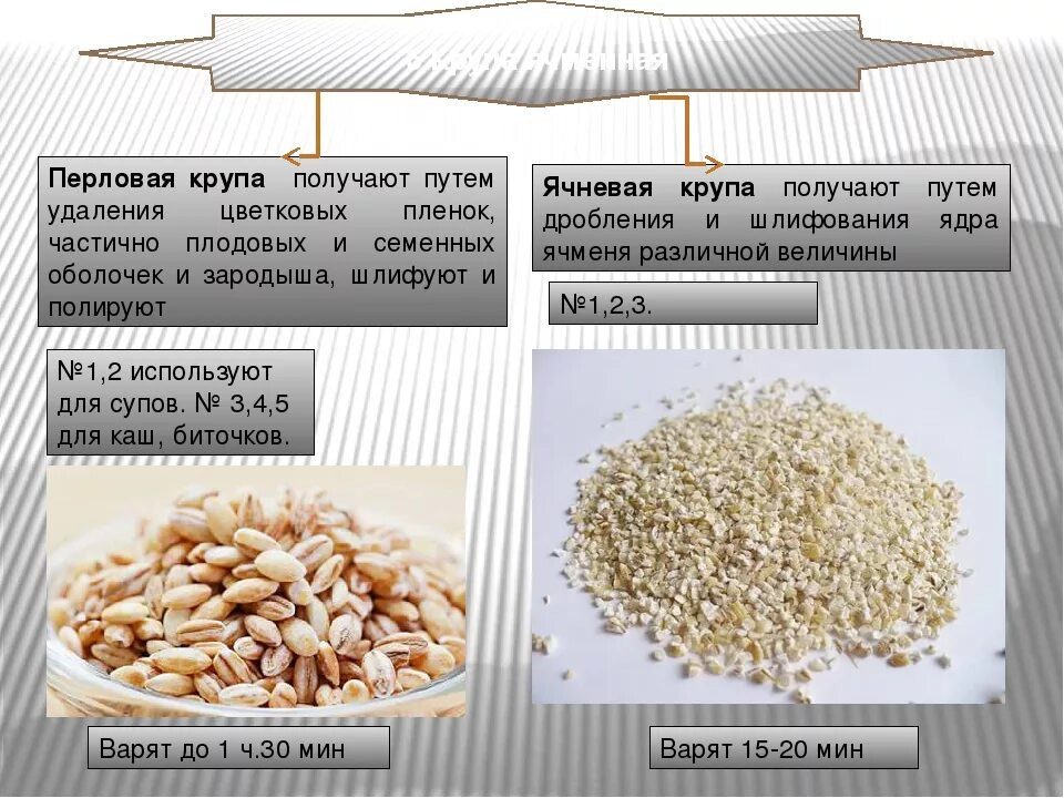 Ячмень ячневая крупа перловка. Перловая и ячневая крупы. Перловая ячневая крупы получаемые из. Крупа перловка ячневая каша.