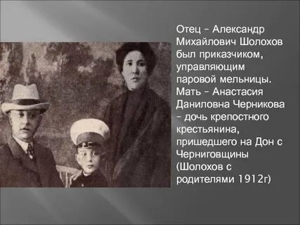 Семья м шолохова