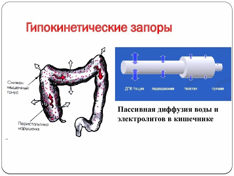Перистальтика кишечника после операции