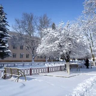 Краснодарский край февраль