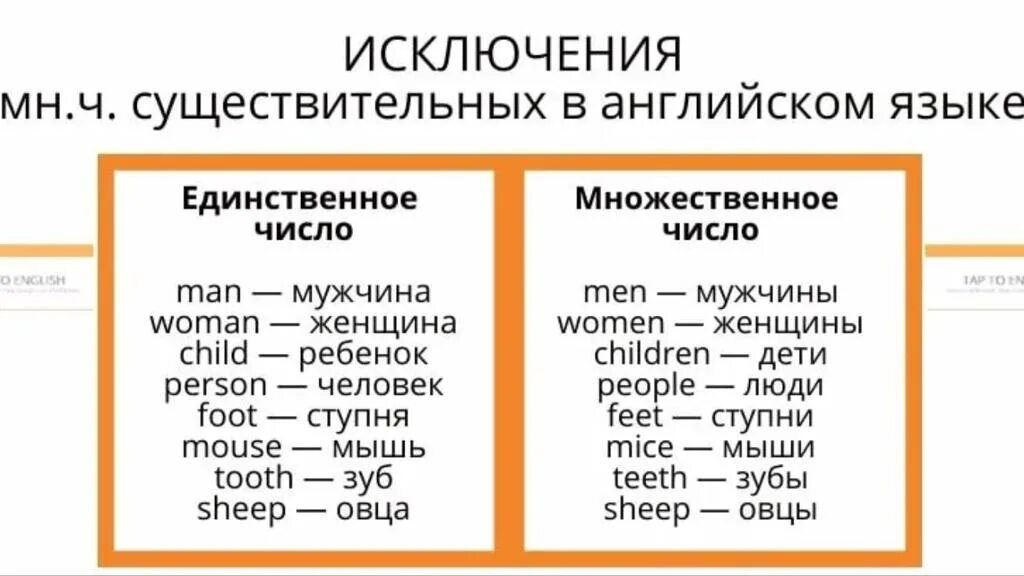 Сторожи множественное. Множественное число существительных в английском исключения. Множественное число имен существительных в английском исключения. Мн ч сущ в английском языке исключения. Исключения мн числа сущ в английском.